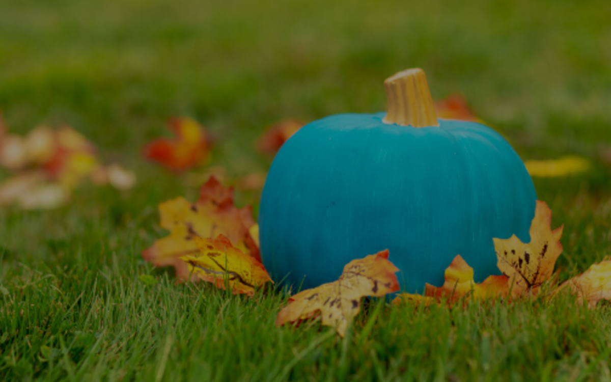 TEAL IS THE NEW ORANGE!