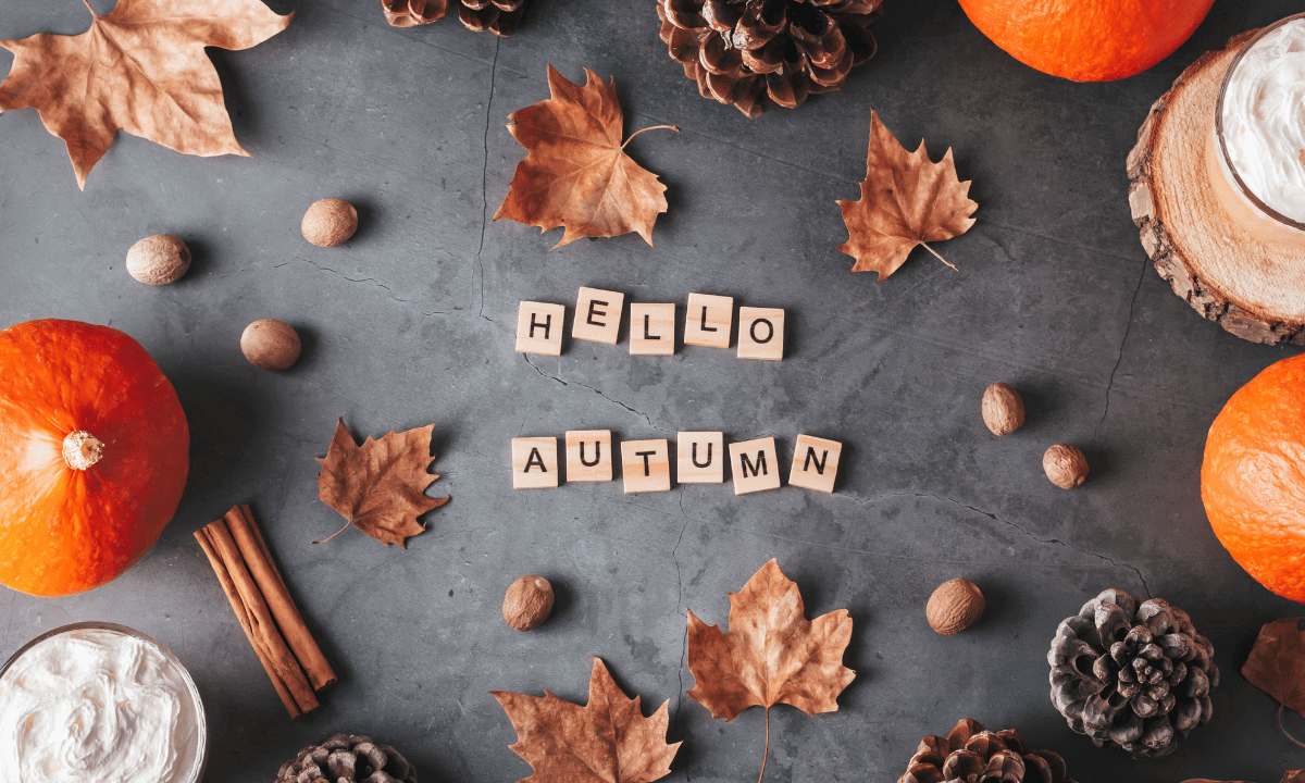 Celebrating Autumn in Indianapolis: Local Fall Events and Activities