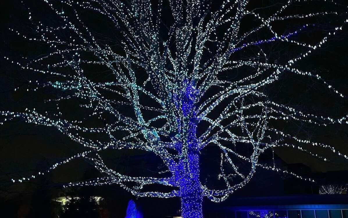 Holiday Lights in the Circle City