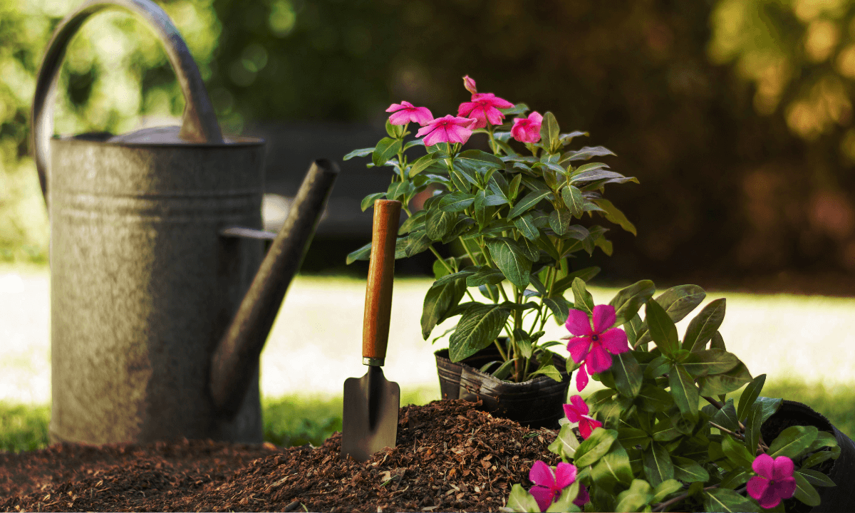 Eco-Friendly Landscaping Ideas for Your Home