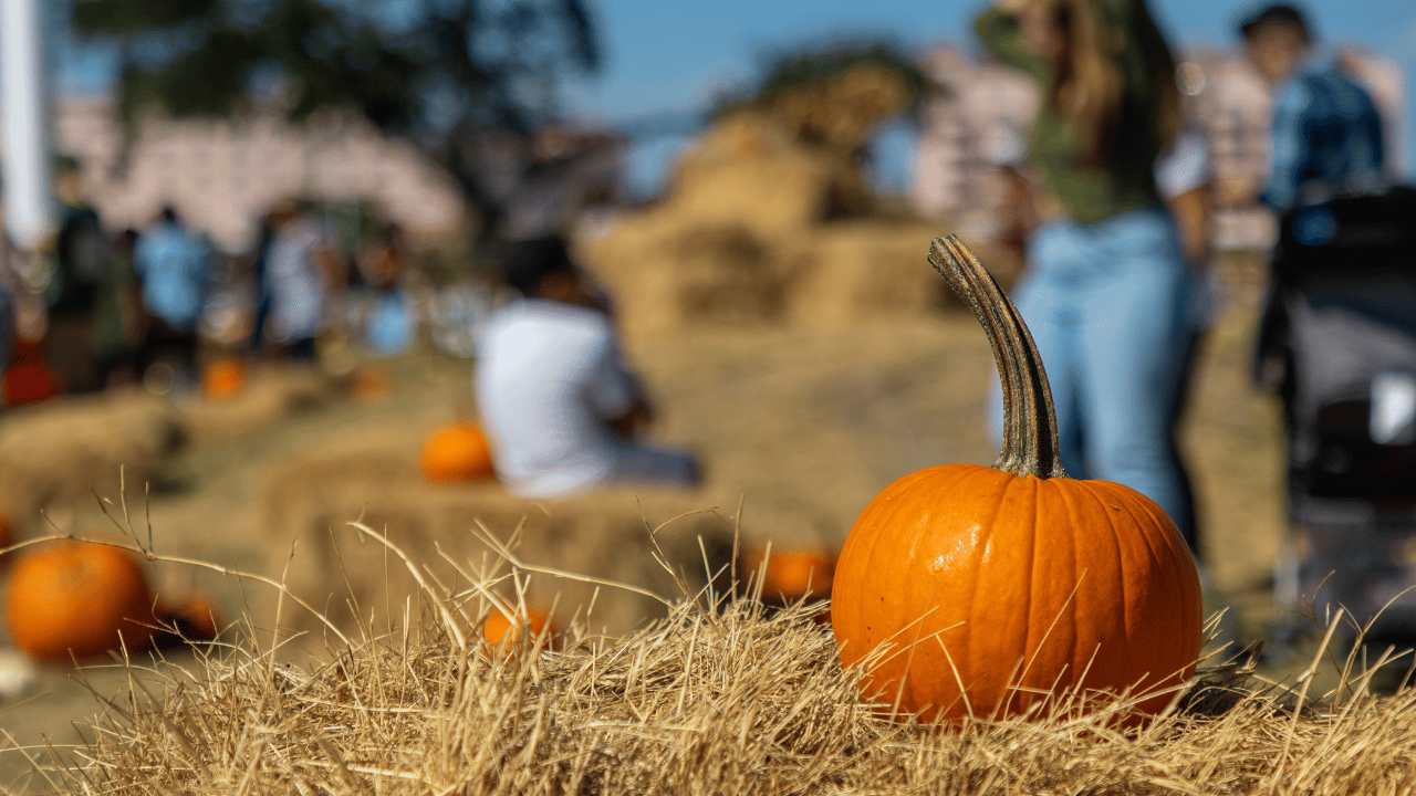 October